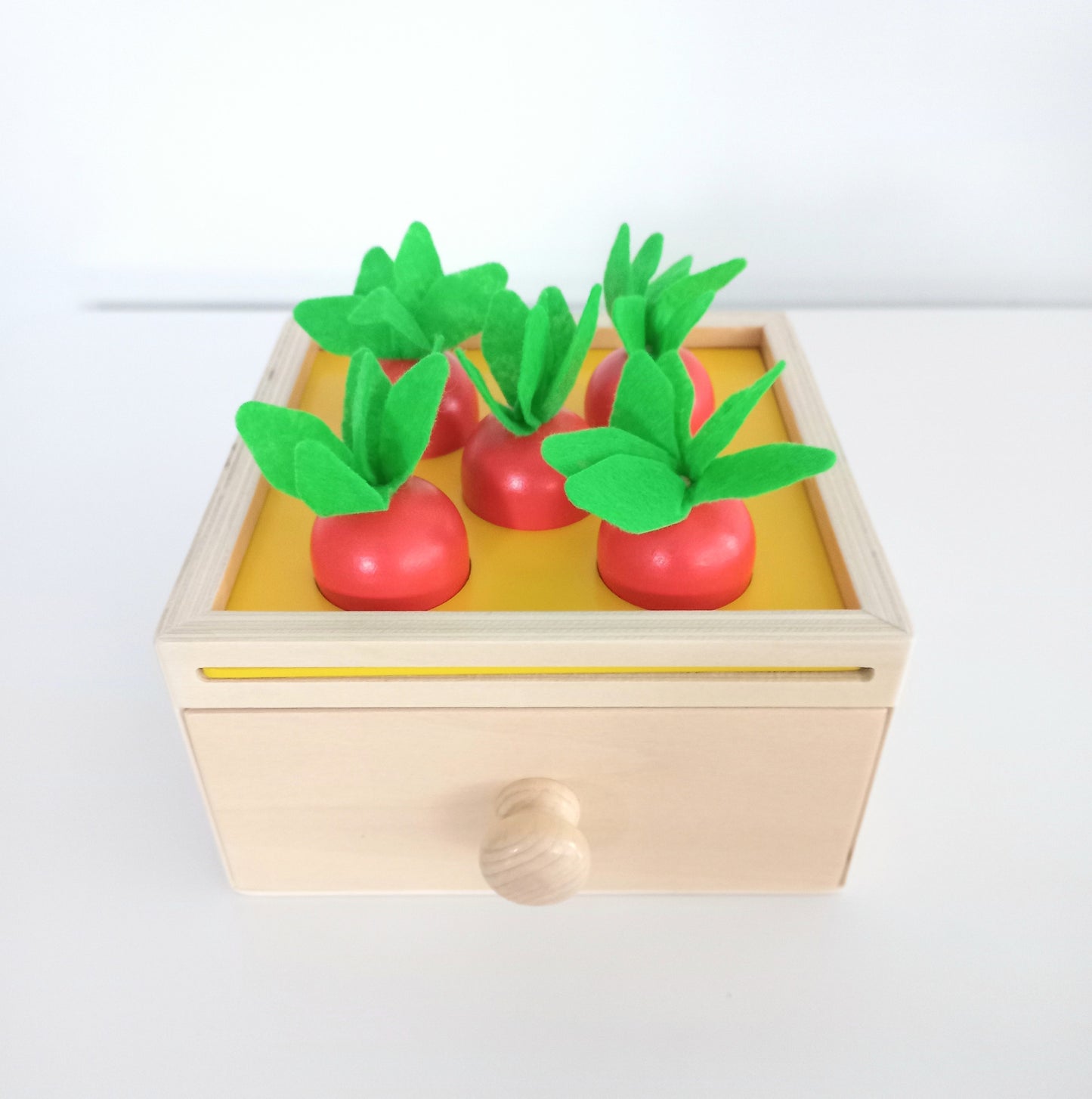 Montessori Box